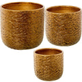 Set di vasi da fiori Alexandra House Living Oro Ceramica 3 Pezzi