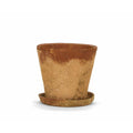 Vaso con Piatto Alexandra House Living Marrone Cemento Rustico 20 x 18 x 20 cm