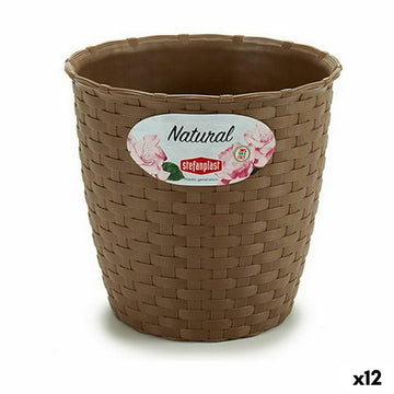 Vaso Stefanplast Marrone Plastica 14 x 13 x 14 cm (12 Unità)