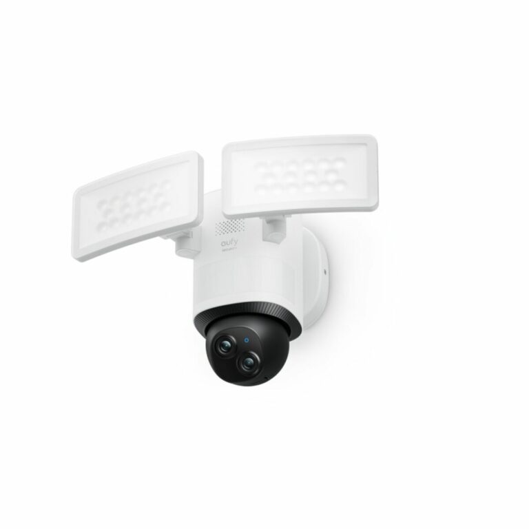 S55305360_0